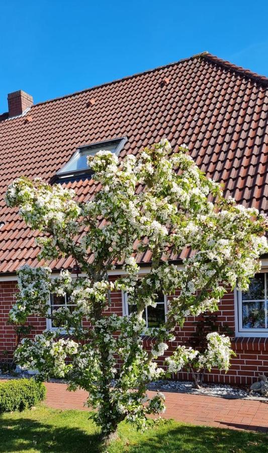 Heimathafen Hoofdmann -FeWo- Upgant-Schott Buitenkant foto